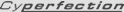 Logo Cyperfection